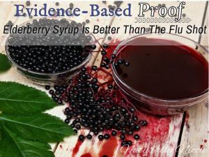 naturally nicole elderberry syrup